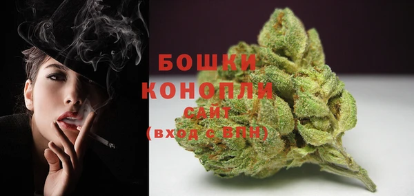 ПСИЛОЦИБИНОВЫЕ ГРИБЫ Карталы