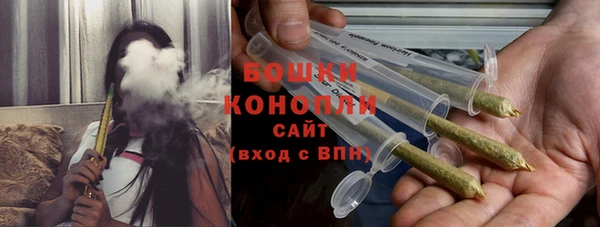 твердый Инта