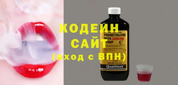 твердый Инта