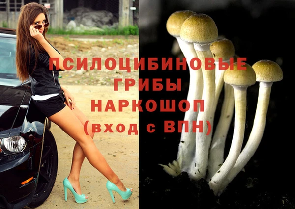твердый Инта