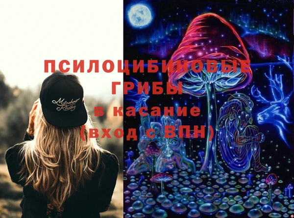 твердый Инта
