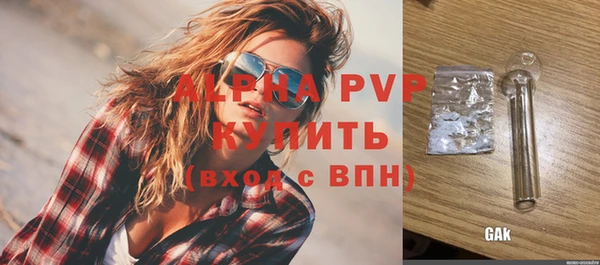 твердый Инта