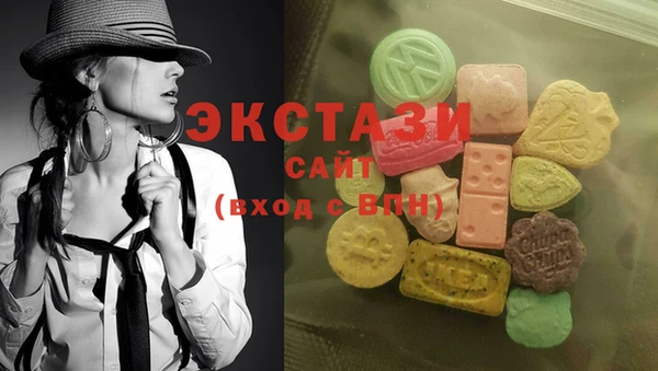 твердый Инта